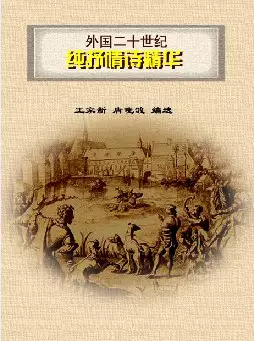 [s702]外国二十世纪纯抒情诗精华(pdf电子书)